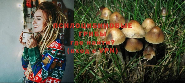 герыч Вяземский