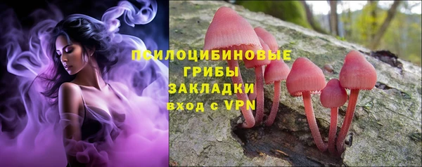герыч Вяземский