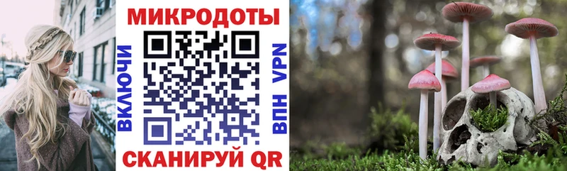 Псилоцибиновые грибы MAGIC MUSHROOMS  где найти   Калачинск 